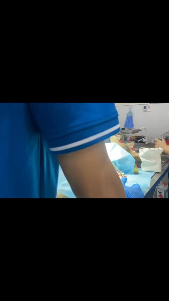 [🆕🇻🇳] Bệnh Viện Thú Y Miền Nam 🐶🦜 Top1Pets 🐱🐠 Viêm tử cung do tiêm ngừa thai rất nguy hiểm các sen nên cẩn trọng !!!Liên hệ ngay với chúng tôi:
401 Phạm Văn Đồng, Phường 11, Quận Bình Thạnh, TP.
, shares-0✔️ , likes-12❤️️ , date-2025-10-13 00:01:33🐶🐱🇻🇳🇻🇳🇻🇳📰🆕