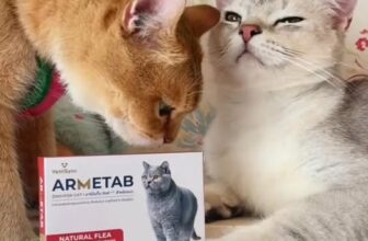 [🆕🇻🇳] Thú.Y Quỳnh Anh – Bán sỉ lẻ các loại vật tư, trang thiết bị, thuốc thú y 🐶🦜 Top1Pets 🐱🐠 Armitab , shares-0✔️ , likes-0❤️️ , date-2025-10-12 19:24:12🐶🐱🇻🇳🇻🇳🇻🇳📰🆕