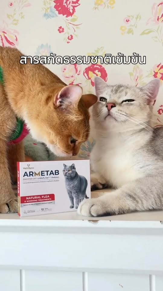 [🆕🇻🇳] Thú.Y Quỳnh Anh – Bán sỉ lẻ các loại vật tư, trang thiết bị, thuốc thú y 🐶🦜 Top1Pets 🐱🐠 Armitab , shares-0✔️ , likes-0❤️️ , date-2025-10-12 19:24:12🐶🐱🇻🇳🇻🇳🇻🇳📰🆕