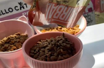 [🆕🇻🇳] Hello PetFood Việt Nam – Nhà phân phối thức ăn cho chó mèo – Pate dành cho chó và mèo 🐶🦜 Top1Pets 🐱🐠  , shares-2✔️ , likes-18❤️️ , date-2025-10-13 23:59:42🐶🐱🇻🇳🇻🇳🇻🇳📰🆕