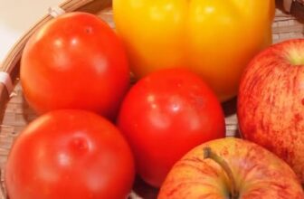 [🆕🇻🇳] Hệ thống Trung tâm Điện máy Thiên Nam Hòa ♥️️ Top1Index 📚   CÔNG THỨC NƯỚC ÉP CHO LÀN DA KHỎE MỊN MÀNG TỪ BÊN TRONG
Cùng máy ép trái cây Fujiyama – người bạn đồng hành giúp giữ trọn dưỡng chất và hương vị tươi ng , shares-0✔️ , likes-1❤️️ , date-2025-10-10 15:13:05🇻🇳🇻🇳🇻🇳📰🆕