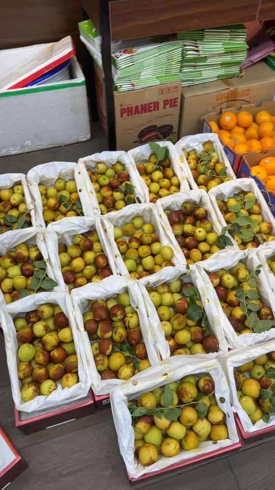 [🆕🇻🇳] Tiệm Sun – Quần áo đẹp cho bé – Bí mật của những em bé TỰ TIN – THẦN THÁI và HẠNH PHÚC � 🧑‍🧒❤️️👶⭐️ Sau bao nhiêu ngày chờ đợi thì cuối cùng e cũng về thêm được 1 ít rồi đây ạ  , shares-0✔️ , likes-9❤️️ , date-2025-10-16 00:13:34🇻🇳🇻🇳🇻🇳📰🆕