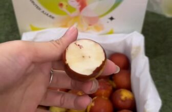 [🆕🇻🇳] Trái Cây Nhập Khẩu Đường Bay – Cửa hàng rau quả 🍔 Top1Food  🍜 Hồng táo tàu tiên xanh VIP- trái nám nhiều- giòn- ngọt lịm- ngọt đậm siêu ngon #170k/hộp 1,5kg cả bìMua từ 3hộp #160k/hộp. Ăn đúng ngon luôn nha cả nhà.  , shares-0✔️ , likes-2❤️️ , date-2025-10-09 22:00:04🇻🇳🇻🇳🇻🇳📰🆕