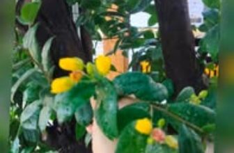 [☕️🇻🇳] Love Beach Coffee and Milktea- Cafe biển 🥤 Top1Coffee ☕️  , shares-0✔️ , likes-1❤️️ , date-2025-10-14 14:02:17🇻🇳🇻🇳🇻🇳📰🆕