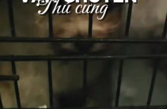 [🆕🇻🇳] Vận chuyển thú cưng toàn quốc ATI Pet Express 🐶🦜 Top1Pets 🐱🐠 3 bé khách vễ thưn
#Ati_Pet_Express #pet_move #vanchuyenmeo #vận_chuyển_chó_mèo #vận_chuyển_thú_cưng , shares-0✔️ , likes-0❤️️ , date-2025-10-17 21:50:14🐶🐱🇻🇳🇻🇳🇻🇳📰🆕