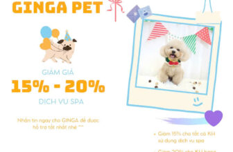 [🆕🇻🇳] GINGA PET – Cửa hàng và dịch vụ dành cho thú cưng 🐶🦜 Top1Pets 🐱🐠  VUI TƯNG BỪNG  – MỪNG SINH NHẬT GINGA 5 TUỔICám ơn các bạn thân yêu đã đồng hành và theo dõi Ginga trong  những năm vừa qua, nhân dịp sinh nhật Ginga x , shares-1✔️ , likes-23❤️️ , date-2025-10-15 03:53:20🐶🐱🇻🇳🇻🇳🇻🇳📰🆕