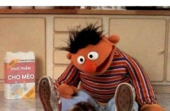 [🆕🇻🇳] Nu Pet – Yêu Thú Cưng 🐶🦜 Top1Pets 🐱🐠 hehe#nupet
, shares-299✔️ , likes-33K❤️️ , date-2025-10-18 17:00:08🐶🐱🇻🇳🇻🇳🇻🇳📰🆕