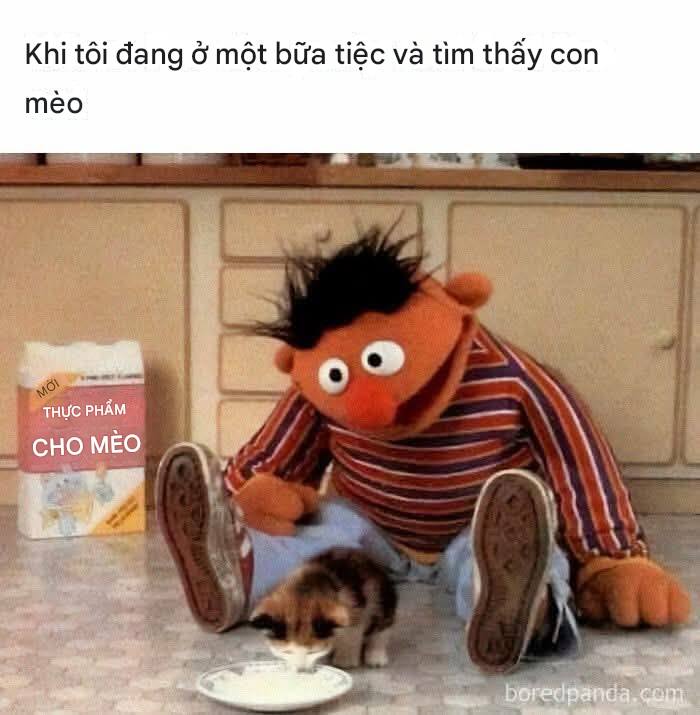 [🆕🇻🇳] Nu Pet – Yêu Thú Cưng 🐶🦜 Top1Pets 🐱🐠 hehe#nupet
, shares-299✔️ , likes-33K❤️️ , date-2025-10-18 17:00:08🐶🐱🇻🇳🇻🇳🇻🇳📰🆕