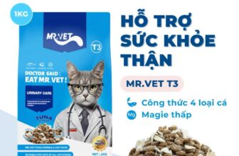 [🆕🇻🇳] Loyal Pet – Dịch Vụ Thú Cưng 🐶🦜 Top1Pets 🐱🐠  Mr.Vet T3Địa chỉ cửa hàng: 70 Hoàng Ngân_Nhân Chính_Thanh Xuân_HN
hotline: (024)3.68.25.456 |  039.8668.791
Thời gian mở cửa: 8h – 20h
Hãy đến ngay  , shares-1✔️ , likes-0❤️️ , date-2025-10-18 16:40:52🐶🐱🇻🇳🇻🇳🇻🇳📰🆕