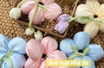 [🆕🇻🇳] Nhà Hạt Dẻ – Thời trang Trẻ em và Gia đình 😎❤️️⭐️ QUÀ TẶNG 20/10 sắp cho khak mà thấy xinh quá lun phải chụp vội 1 hộpTừ hôm có bông hoa đeo đi làm đi tơi là được hỏi thăm nhìu lắm. MẸ và BÉ đều dùng đư , shares-0✔️ , likes-3❤️️ , date-2025-10-20 01:33:12🇻🇳🇻🇳🇻🇳📰🆕