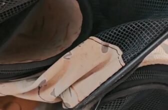 [🆕🇻🇳] Bệnh Viện Thú Y Kinh Bắc Hà Đông 🐶🦜 Top1Pets 🐱🐠 Khi 1 nhà quá đông thành viên
Xe chở 7 lậnKhách iu có nhu cầu đặt lịch tại nhà inbox
+ Fanpage Bệnh viện thú y 2vet Hà Đông
+ Hotline 0823888126
Để đ , shares-0✔️ , likes-0❤️️ , date-2025-10-23 14:47:14🐶🐱🇻🇳🇻🇳🇻🇳📰🆕