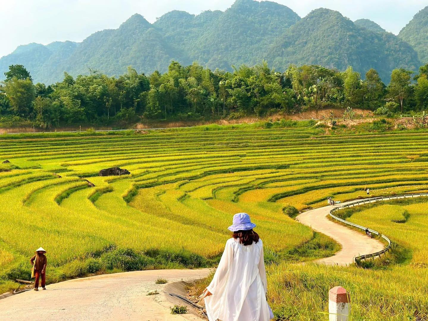 [☕️🇻🇳] Cham Cham Bakery – Coffee 🥤 Top1Coffee ☕️  THƠM MÙI BÁNH, NGỌT MÙI YÊU – CHAM CHAM RỘN RÀNG TRƯỚC THỀM 20/10Không khí tại Cham Cham lúc này thật náo nức và ngọt ngào h , shares-0✔️ , likes-15❤️️ , date-2025-10-20 00:39:43🇻🇳🇻🇳🇻🇳📰🆕