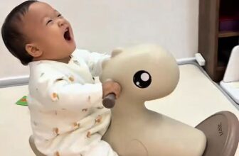 [🆕🇻🇳] Shop Mẹ Và Bé – Đồ sơ sinh, quần áo sơ sinh, đồ sơ sinh trọn gói, bán buôn đồ sơ sinh 🧑‍🧒❤️️👶⭐️ Không cần đời xô ngã, ta tự ngã mới vui  #chuyencuabeiu  #viral , shares-0✔️ , likes-0❤️️ , date-2025-10-16 22:15:07🇻🇳🇻🇳🇻🇳📰🆕