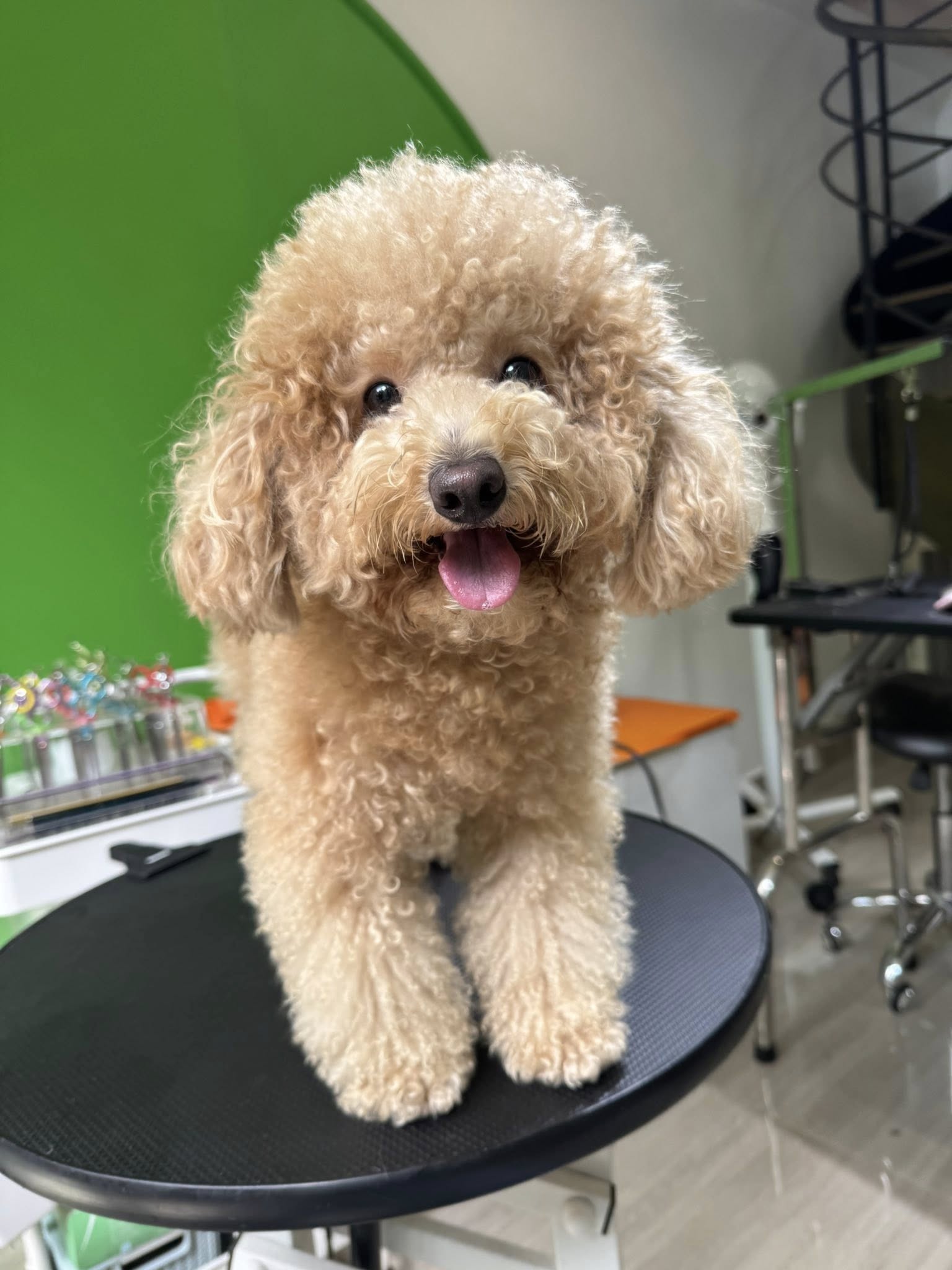 [🆕🇻🇳] Mix’s Store – Quần áo, giày dép, phụ kiện thời trang trẻ em 🧑‍🧒❤️️👶⭐️ Áo len bao gồm luôn cà vạt nhé ahSz 12kg-40kg ạ
, shares-0✔️ , likes-2❤️️ , date-2025-10-17 23:00:52🇻🇳🇻🇳🇻🇳📰🆕