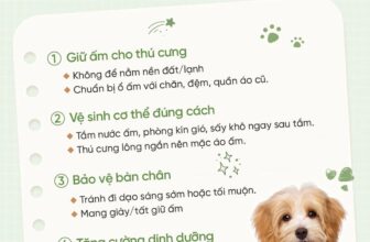 [🆕🇻🇳] Bệnh viện thú y PetHealth Hoàng Mai 🐶🦜 Top1Pets 🐱🐠 Chăm sóc thú cưng trong mùa chuyển lạnhMùa thu sắp qua đông về, nhiệt độ hạ dần cũng mang đến nhiều thách thức cho việc chăm sóc thú cưng, dưới đây là n , shares-0✔️ , likes-0❤️️ , date-2025-10-21 18:32:11🐶🐱🇻🇳🇻🇳🇻🇳📰🆕