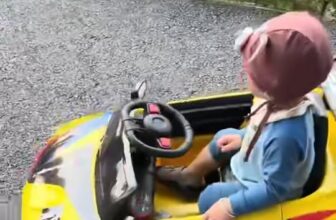 [🧸️🇻🇳] Thanh lý, mua bán xe điện cũ, mới cho bé toàn quốc 🎈Top1Toys🧸️   “Bé mê, mẹ phê — xe điện siêu chất, giá siêu hời! , shares-0✔️ , likes-2❤️️ , date-2025-10-20 16:45:59🇻🇳🇻🇳🇻🇳📰🆕