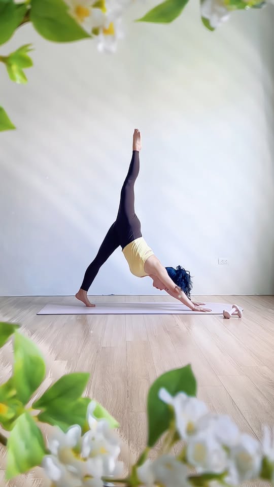 [🆕🇻🇳] 299.vn – Bike services for bike lovers by bike experts 🚗 Top1Go 🏍️  Một vấn đề vô cùng gây tranh cãi: Lệch ắc piston có thực sự làm giảm lực ngang lên thành xy-lanh hay không? , shares-0✔️ , likes-22K❤️️ , date-2025-10-16 18:45:55🇻🇳🇻🇳🇻🇳📰🆕