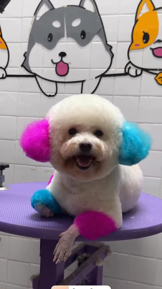 [🆕🇻🇳] Babestore – Chuyên cung cấp sỉ lẻ quần áo_phụ kiện trẻ em 🧑‍🧒❤️️👶⭐️ Hôm nay là một ngày đẹp trời,
Thật tuyệt vời để mặc đẹp và đi chơi , shares-0✔️ , likes-1❤️️ , date-2025-10-19 15:02:03🇻🇳🇻🇳🇻🇳📰🆕