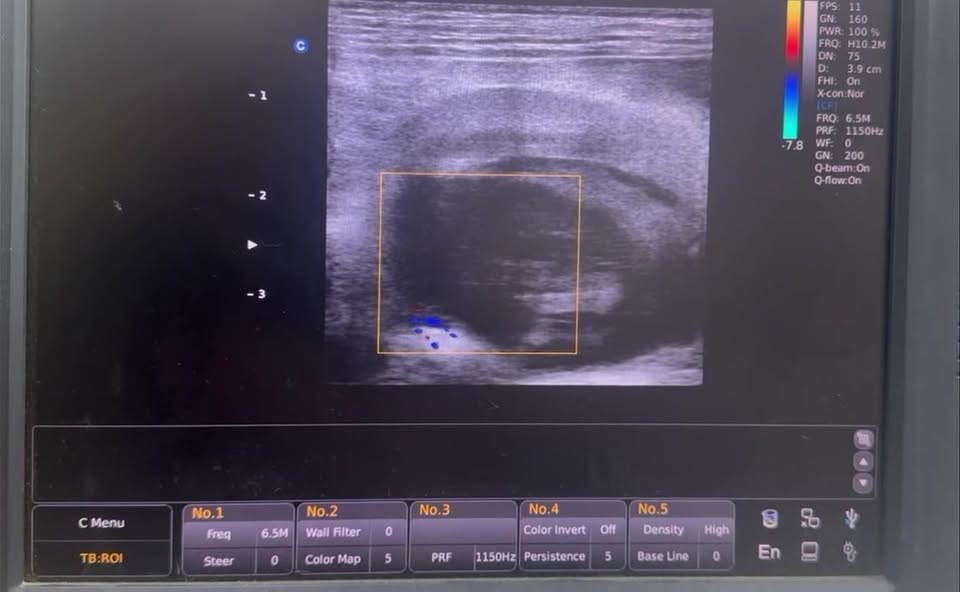 [🆕🇻🇳] Bệnh Viện Thú Y Kinh Bắc Hà Đông 🐶🦜 Top1Pets 🐱🐠 Khi 1 nhà quá đông thành viên
Xe chở 7 lậnKhách iu có nhu cầu đặt lịch tại nhà inbox
+ Fanpage Bệnh viện thú y 2vet Hà Đông
+ Hotline 0823888126
Để đ , shares-0✔️ , likes-0❤️️ , date-2025-10-23 14:47:14🐶🐱🇻🇳🇻🇳🇻🇳📰🆕