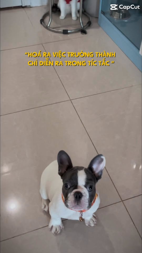 [🆕🇻🇳] Nhím Nhím – Ăn Dặm Mẹ Nhím 🧑‍🧒❤️️👶⭐️ KÌ DIỆU LẮM LUÔN ẤY.
L.ắc một phát ngủ xuyên đêm, l.ắc một phát từ chê sang n.ghiện… sữa công thứcChẳng biết sao hot thế chỉ bít cứ pha vài thìa này và , shares-0✔️ , likes-6❤️️ , date-2025-10-18 06:26:08🇻🇳🇻🇳🇻🇳📰🆕