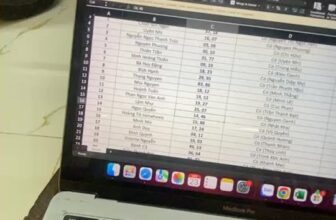 [🆕🇻🇳] Tiệm Mèo Nhà Tiên 🐶🦜 Top1Pets 🐱🐠 Quay số may mắn Mimi Game: Ẵm Boss Về Tay 02: Con Số May Mắn , shares-0✔️ , likes-24❤️️ , date-2025-10-24 03:18:33🐶🐱🇻🇳🇻🇳🇻🇳📰🆕