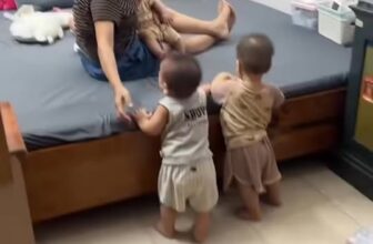 [🆕🇻🇳] Shop Bé Bụ Bẫm- Hệ thống 35 cửa hàng đồ dùng cho mẹ & bé chuyên cung cấp sản phẩm an toàn, chính hãng 🧑‍🧒❤️️👶⭐️ Có 4 cháu thui mà#embe #embedangyeu #xuhuong #banoi , shares-0✔️ , likes-10❤️️ , date-2025-10-24 03:35:46🇻🇳🇻🇳🇻🇳📰🆕