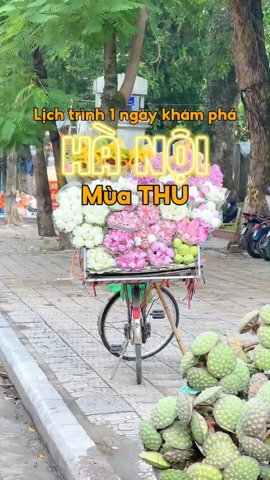 [🆕🇻🇳] ViS Store 👕 Top1Fashion 👗  #Visstore #xuhuong  Whisper of Light Dress – Vẻ đẹp là cảm giác. Khi những bước chân đủ tự tin người ta sẽ để ý đến chiếc đầm của bạn. , shares-0✔️ , likes-2❤️️ , date-2025-10-18 16:11:02🇻🇳🇻🇳🇻🇳📰🆕