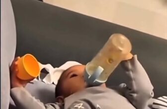 [🆕🇻🇳] Shop Mẹ Và Bé Đức Cơ – Chuyên đồ sơ sinh, thời trang trẻ em, thời trang mẹ bầu, vitamin cho mẹ và bé 🧑‍🧒❤️️👶⭐️ Chắc mẹ phải mách bố đánh đít thôi , shares-0✔️ , likes-12❤️️ , date-2025-10-24 17:57:45🇻🇳🇻🇳🇻🇳📰🆕