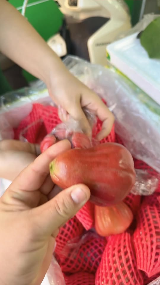 [🆕🇻🇳] Răng sữa 33 Hàng Tiện Nam Định – Siêu thị mẹ và bé 🧑‍🧒❤️️👶⭐️ Roi An phước Xuất Khẩu có deal siêu hời chỉ  #205k/thùng 5kg, siêu già, siêu ngọt ạ , shares-0✔️ , likes-1❤️️ , date-2025-10-17 23:40:24🇻🇳🇻🇳🇻🇳📰🆕