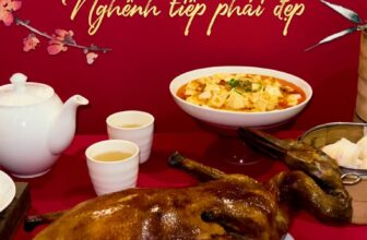 [🆕🇻🇳] Meiwei – Trung Hoa Mỹ Vị  🍔 Top1Food 🍜  MỸ VỊ TRUNG HOA – NGHÊNH TIẾP PHÁI ĐẸPGiữa không gian thanh nhã và hương vị tinh tế của ẩm thực Trung Hoa, MeiWei tôn vinh phái đẹp bằng thực đơn thanh , shares-0✔️ , likes-0❤️️ , date-2025-10-20 03:12:24🇻🇳🇻🇳🇻🇳📰🆕