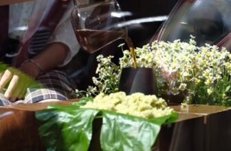 [☕️🇻🇳] ACID8 Specialty Coffee 🥤 Top1Coffee ☕️ Cách những con người của quán đỏ lưu giữ mùa thu… , shares-0✔️ , likes-8❤️️ , date-2025-10-22 14:15:11🇻🇳🇻🇳🇻🇳📰🆕