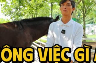 [🆕🇻🇳] PKC Pet Center – Phòng khám thú y PKC Pet Center thuộc Trung tâm dịch vụ thú cưng PKC Pet Center 🐶🦜 Top1Pets 🐱🐠 TRƯỚC KHI CƯỠI NGỰA – BẠN ĐÃ CHUẨN BỊ ĐÚNG CÁCH CHƯA?Cưỡi ngựa không chỉ là một môn thể thao – đó là sự kết nối giữa con người và chiến mã, đòi hỏi sự t , shares-0✔️ , likes-20❤️️ , date-2025-10-23 16:01:13🐶🐱🇻🇳🇻🇳🇻🇳📰🆕