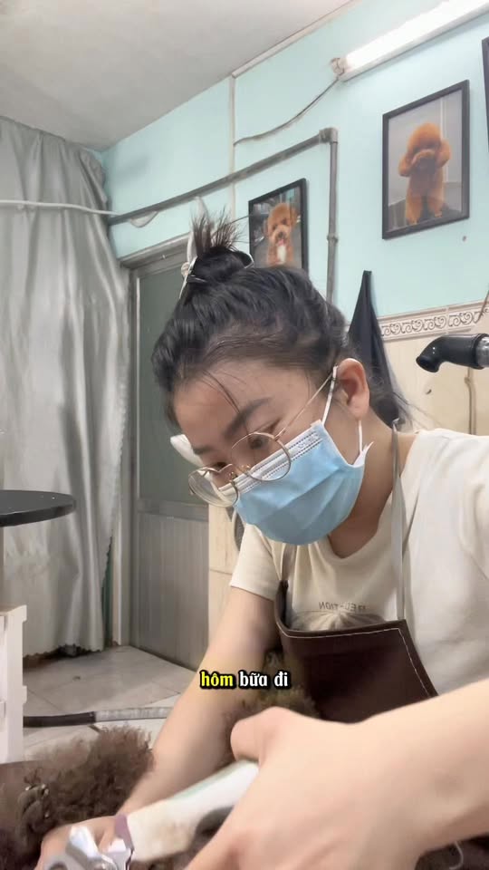 [🆕🇻🇳] BÔNG BOSS FAM 🐶🦜 Top1Pets 🐱🐠  GÓC CHIA SẺ
Bông hoạt động cũng đã được 1 thời gian
Từ lúc bắt đầu hoạt động đến bây giờ quan điểm của mẹ Bông vẫn như vậy
Bông làm vì Bông muốn giảm tìn , shares-0✔️ , likes-3❤️️ , date-2025-10-29 20:07:39🐶🐱🇻🇳🇻🇳🇻🇳📰🆕