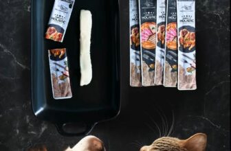 [🆕🇻🇳] Công Ty TNHH Tiến Đồng Tiến 🐶🦜 Top1Pets 🐱🐠  SỐT THƯỞNG BISQUE ABSOLUTE HOLISTIC – Fine Dining Cho Thú Cưng Sành ĂnKhông chỉ là món ăn, Bisque Absolute Holistic mang đến trải nghiệm ẩm thực thượng  , shares-0✔️ , likes-6❤️️ , date-2025-10-22 17:03:37🐶🐱🇻🇳🇻🇳🇻🇳📰🆕