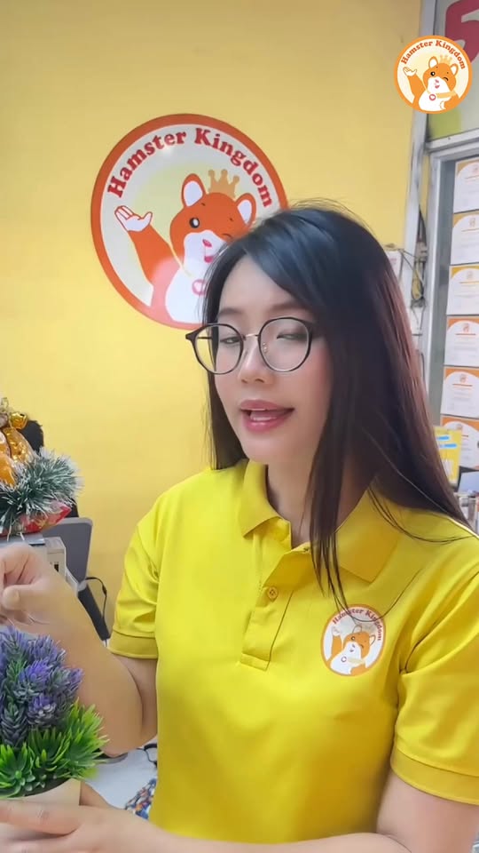 [🆕🇻🇳] Hamster Kingdom Thủ Đức 🐶🦜 Top1Pets 🐱🐠 Hamster Kingdom Thủ Đức xin chàooo  , shares-0✔️ , likes-0❤️️ , date-2025-10-24 03:00:52🐶🐱🇻🇳🇻🇳🇻🇳📰🆕