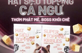 [🆕🇻🇳] PawPaw Petshop – Thức ăn, Phụ kiện & Spa cho thú cưng 🐶🦜 Top1Pets 🐱🐠  HẠT SIÊU TOPPING CÁ NGỪ – KING’S PET BY BAO ANHMèo kén ăn? Ngửi rồi bỏ đi?
Sen thử ngay hạt siêu topping cá ngừ thật sấy thăng hoa (giữ mùi thơm + din , shares-0✔️ , likes-1❤️️ , date-2025-10-23 02:45:48🐶🐱🇻🇳🇻🇳🇻🇳📰🆕