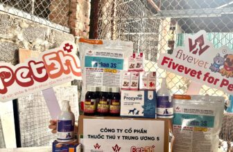 [🆕🇻🇳] FivePet – Fivevet for Pet 🐶🦜 Top1Pets 🐱🐠 FIVEPET CHUNG TAY HỖ TRỢ TRẠM CỨU HỘ ĐỘNG VẬT BIBI SHELTER (BIBI CÚN) – BiBi ShelterTrong những ngày mát mẻ của đầu thu của Hà Nội, cùng sự thấu hiểu nh , shares-4✔️ , likes-19❤️️ , date-2025-10-22 15:58:51🐶🐱🇻🇳🇻🇳🇻🇳📰🆕