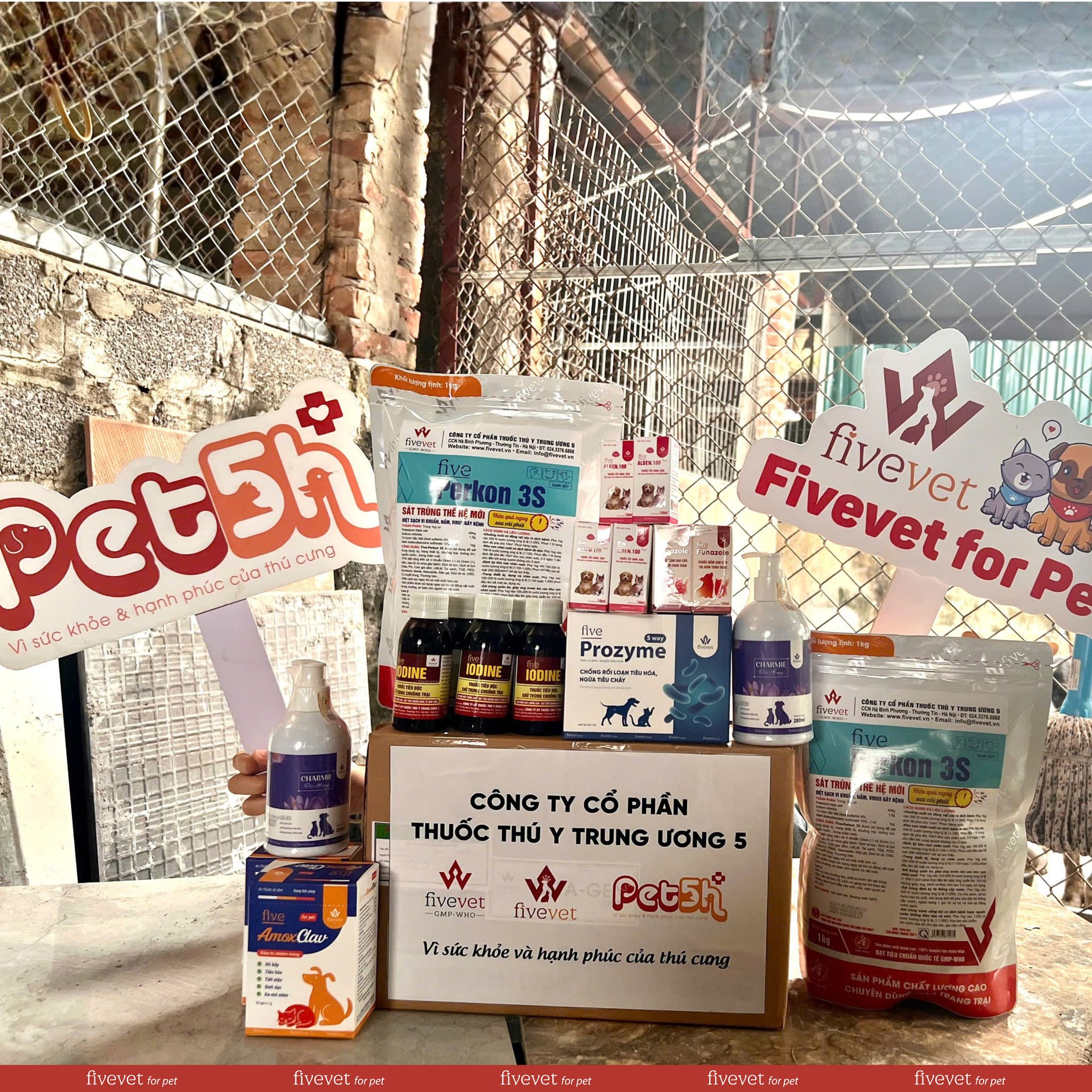 [🆕🇻🇳] FivePet – Fivevet for Pet 🐶🦜 Top1Pets 🐱🐠 FIVEPET CHUNG TAY HỖ TRỢ TRẠM CỨU HỘ ĐỘNG VẬT BIBI SHELTER (BIBI CÚN) – BiBi ShelterTrong những ngày mát mẻ của đầu thu của Hà Nội, cùng sự thấu hiểu nh , shares-4✔️ , likes-19❤️️ , date-2025-10-22 15:58:51🐶🐱🇻🇳🇻🇳🇻🇳📰🆕