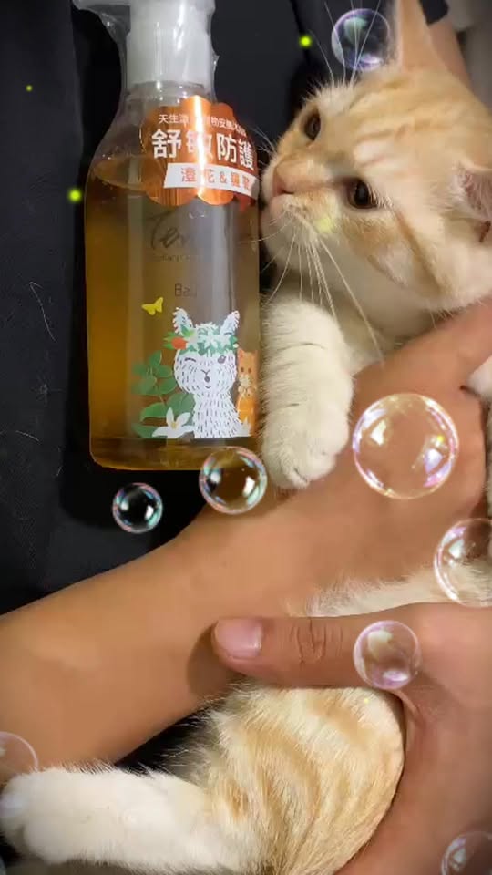 [🆕🇻🇳] Su Petshop – Shop Thú Cưng Vinhomes Ocean Park 🐶🦜 Top1Pets 🐱🐠 Bình nước con Thỏ tiện lợi, Bình nước gắn chuồng cho chó mèo
-Có thể treo trên lồng, chuổng để lấy nước dễ dàng
-Phần vòi làm từ Inox để thú cưng uống nước , shares-0✔️ , likes-0❤️️ , date-2025-10-28 17:00:22🐶🐱🇻🇳🇻🇳🇻🇳📰🆕