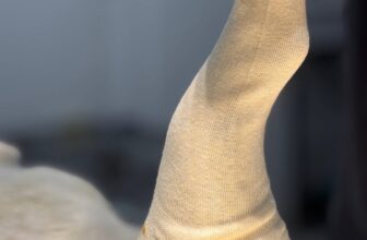 [🆕🇻🇳] Phòng khám Thú y Đồng Hành Cần Thơ 🐶🦜 Top1Pets 🐱🐠 RƯỢC GÁI TÉ GÃY CHÂNCAN THO CONPANION ANIMALS CLINIC
Phòng khám Thú y Đồng Hành Cần Thơ
“Sứ mệnh chăm sóc người bạn đồng hành”
Thời gian: 8 giờ đến 20 , shares-0✔️ , likes-8❤️️ , date-2025-10-23 21:51:56🐶🐱🇻🇳🇻🇳🇻🇳📰🆕