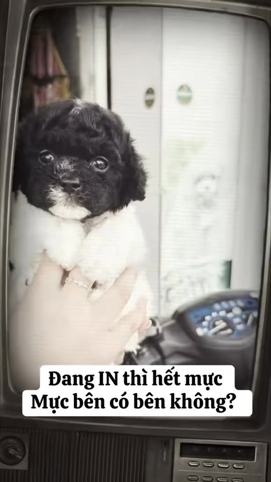 [🆕🇻🇳] Dolly petshop – Spa Cắt Tỉa Lông Chó Mèo Long Biên Hà Nội 🐶🦜 Top1Pets 🐱🐠  Cát vệ sinh Ever Cat – Thơm lâu, vón nhanh, khử mùi cực đỉnh!
Công thức bentonite siêu hút ẩm, giúp vón cục nhanh – không lem bẩn – dễ dọn.
Đa dạng mùi h , shares-0✔️ , likes-0❤️️ , date-2025-10-27 22:38:48🐶🐱🇻🇳🇻🇳🇻🇳📰🆕