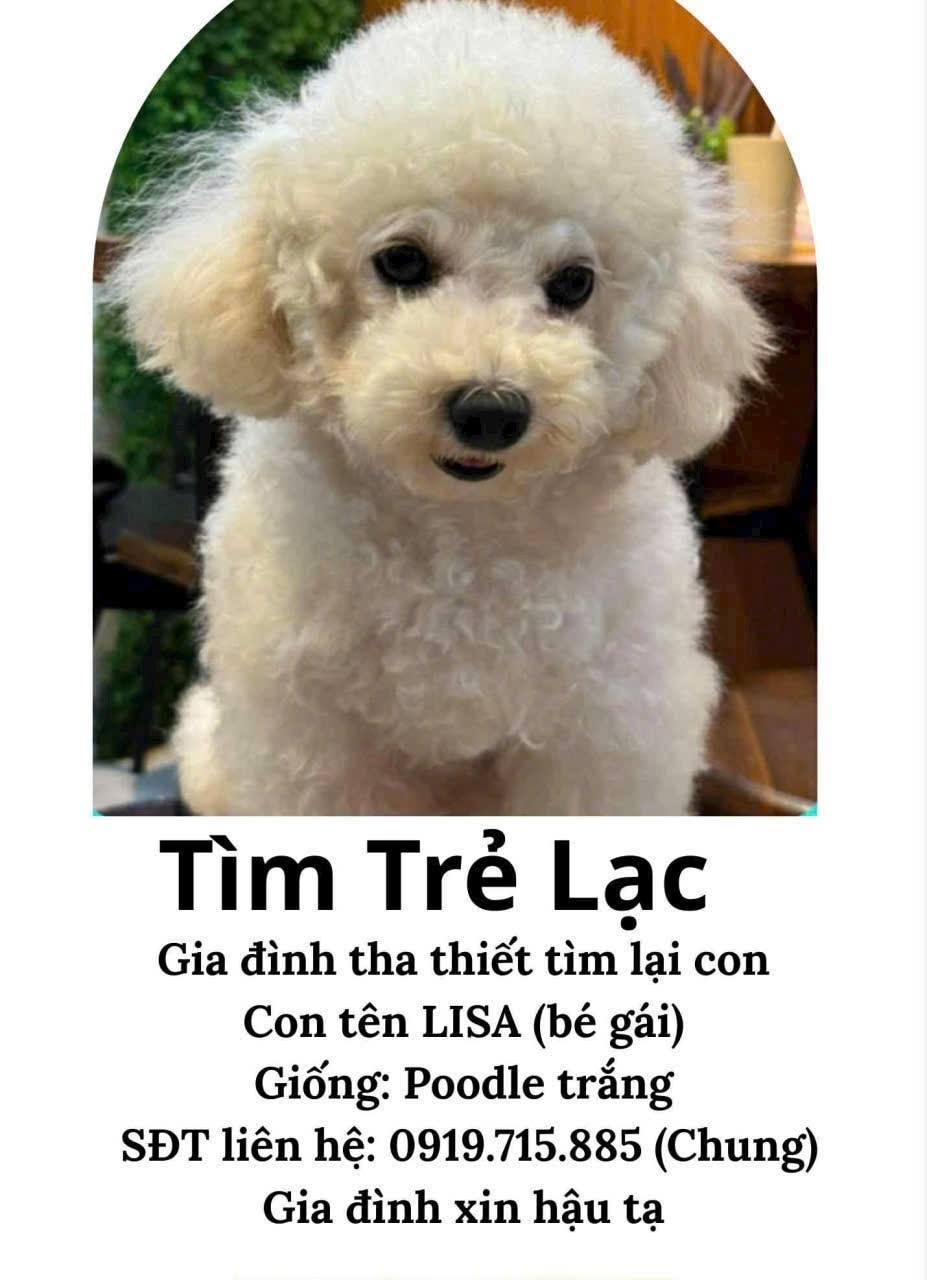 [🆕🇻🇳] Loppy Pet’s Home 🐶🦜 Top1Pets 🐱🐠 Không liên quan tới thỏ nhưng xin nhờ mọi người share giúp bạn của bạn của Loppy nha
Mọi người Like, share, comment thật nhiều để nhiều người nhìn thấy ạ.  , shares-1✔️ , likes-2❤️️ , date-2025-10-20 16:04:20🐶🐱🇻🇳🇻🇳🇻🇳📰🆕