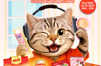 [🆕🇻🇳] Paddy Pet Shop 🐶🦜 Top1Pets 🐱🐠  #SILVERSPOON – MEGA LIVESTREAM – SĂN DEAL HẾT ÝDUY NHẤT 20H – 23H NGÀY 25.10 – MUA LÀ CÓ QUÀ!Chuẩn bị “cháy ví” cùng Silver Spoon nha Sen ơi, vì đêm , shares-4✔️ , likes-207❤️️ , date-2025-10-24 17:21:26🐶🐱🇻🇳🇻🇳🇻🇳📰🆕