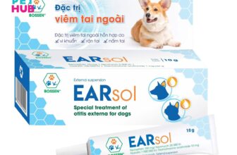 [🆕🇻🇳] Pet Hub Tây Ninh 🐶🦜 Top1Pets 🐱🐠 𝑴𝑶̣̂𝑻 𝑺𝑶̂́ 𝑫𝑨̂́𝑼 𝑯𝑰𝑬̣̂𝑼 𝑽𝑰𝑬̂𝑴 𝑻𝑨𝑰 𝑫𝑬̂̃ 𝑵𝑯𝑨̣̂𝑵 𝑩𝑰𝑬̂́𝑻 𝑶̛̉ 𝑻𝑯𝑼́ 𝑪𝑼̛𝑵𝑮
Tai có mùi hôi hoặc mùi tanh khó chịu.
Có dịch chảy ra từ tai: màu vàng, nâu, hoặc c , shares-1✔️ , likes-3❤️️ , date-2025-10-23 00:27:16🐶🐱🇻🇳🇻🇳🇻🇳📰🆕