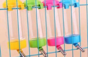 [🆕🇻🇳] Su Petshop – Shop Thú Cưng Vinhomes Ocean Park 🐶🦜 Top1Pets 🐱🐠 Bình nước con Thỏ tiện lợi, Bình nước gắn chuồng cho chó mèo
-Có thể treo trên lồng, chuổng để lấy nước dễ dàng
-Phần vòi làm từ Inox để thú cưng uống nước , shares-0✔️ , likes-0❤️️ , date-2025-10-28 17:00:22🐶🐱🇻🇳🇻🇳🇻🇳📰🆕