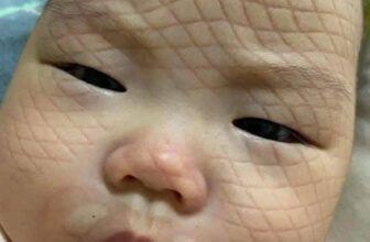 [🆕🇻🇳]  Ăn Dặm Cùng Con Yêu – CHUYÊN SẢN PHẨM ĂN DẶM HỮU CƠ CHO BÉ 🧑‍🧒❤️️👶⭐️ Mẹ biết con ngủ ngon như thế nào rồi đấy
Cre: Nene Neko
, shares-0✔️ , likes-118❤️️ , date-2025-10-26 22:43:31🇻🇳🇻🇳🇻🇳📰🆕