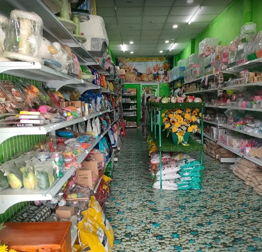 [🆕🇻🇳] Lâm Trang Pet Shop Vinh 🐶🦜 Top1Pets 🐱🐠 Làm việc chăm chỉ sẽ giúp bạn lan tỏa hào quang rất đặc biệt#thucanchomeo #mèo #LâmTrangpetshop #petshop #186AHaHuyTap #chomeocanh #chó #phukienchomeo #s , shares-0✔️ , likes-3❤️️ , date-2025-10-23 21:36:47🐶🐱🇻🇳🇻🇳🇻🇳📰🆕