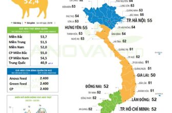 [🆕🇻🇳] Nhà Phân Phối Thuốc Thú Y Và Thức Ăn Gia Súc Kim Cương 👕 Top1Fashion 👗  ANOVA FEED – GIÁ HEO THỊT NGÀY 24/10, TOÀN QUỐC GIỮ GIÁ– Miền Bắc không có điều chỉnh mới, thu mua quanh mức trung bình 53.700 đồng/kg.
– Miền Trung đi n , shares-0✔️ , likes-1❤️️ , date-2025-10-24 16:49:27🇻🇳🇻🇳🇻🇳📰🆕