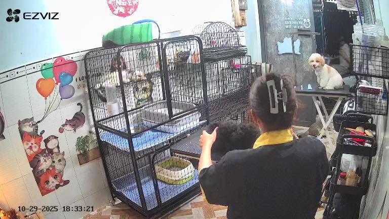 [🆕🇻🇳] THỎ PET SHOP – TIỆM LÀM ĐẸP CHO THÚ CƯNG 🐶🦜 Top1Pets 🐱🐠 Ca tối 18h30-20h00, làm combo tắm cạo lông máu cho em bé Bill xinh trai
#thứ4
, shares-0✔️ , likes-0❤️️ , date-2025-10-30 01:38:22🐶🐱🇻🇳🇻🇳🇻🇳📰🆕