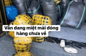 [🆕🇻🇳] Shop Mẹ Ku Bi  – chuyên sỉ, lẻ thời trang mẹ và bé, uy tín, chất lượng, giá cả hợp lý 🧑‍🧒❤️️👶⭐️ Hàng nhiều vô kể giờ e vẫn đang ngồi đóng hàng. Các mẹ cbi qua shop e nhé.
, shares-0✔️ , likes-5❤️️ , date-2025-10-29 02:48:07🇻🇳🇻🇳🇻🇳📰🆕